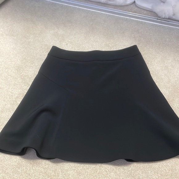 Express Skirt - Picture 1 of 3